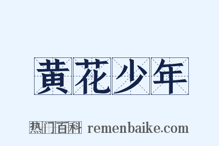 黄花少年是什么意思的图片